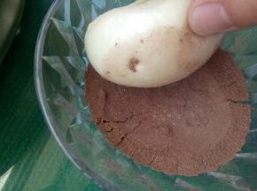 将晾凉的土豆馒头放可可粉里滚几下，让馒头粘满可可粉