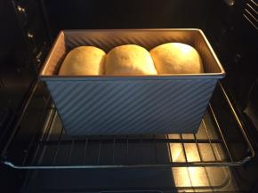 发酵至9分满，盖上盖子，烤箱预热160度，上下火35分钟（根据自己烤箱温度）