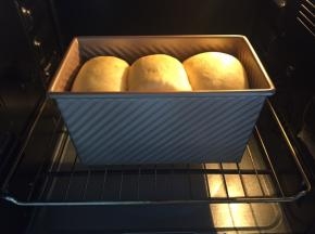 发酵至9分满，盖上盖子，烤箱预热160度，上下火35分钟（根据自己烤箱温度）