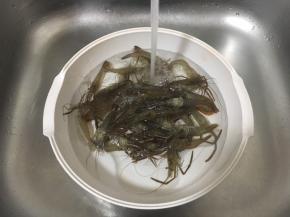 用水清洗干净。