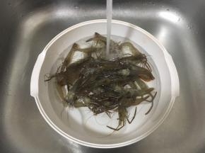 用水清洗干净。