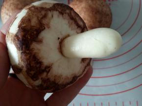 将蘑菇蒂插进小小洞里