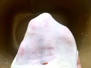 启动揉面程序，将面团揉至扩展状态