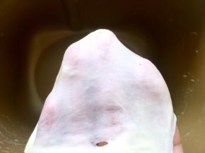 启动揉面程序，将面团揉至扩展状态