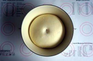 检查面团，在面团表面撒上少许高筋粉，然后在该处压下手指，面团不回缩即可。