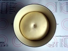 检查面团，在面团表面撒上少许高筋粉，然后在该处压下手指，面团不回缩即可。