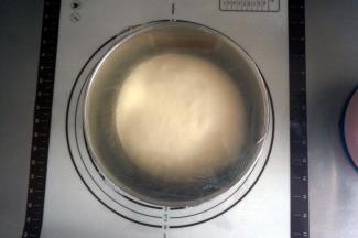 发酵至面团2倍大左右，取出。