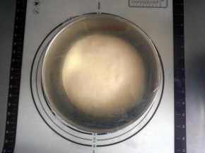 发酵至面团2倍大左右，取出。