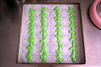 烤盘垫上硅油纸，裱花袋剪出一个小口，在烤盘上挤出几道西瓜纹路，放入烤箱中层，175度烘烤2分钟。这个烤盘是28*28cm的。