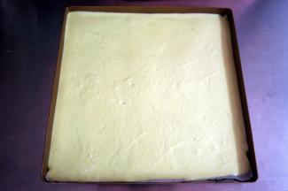 取出烤盘，将浅绿色的面糊全部倒入，用刮刀刮平表面，放入烤箱中层，175度，烘烤20分钟。