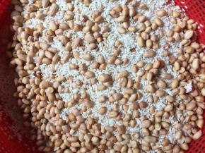 糯米洗净加入浸泡好的花生米