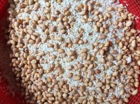 糯米洗净加入浸泡好的花生米