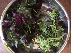 切好后将苋菜的叶子和茎的部分着存放，炒菜时先炒茎的部分，然后再炒叶子，因为叶子熟的快。