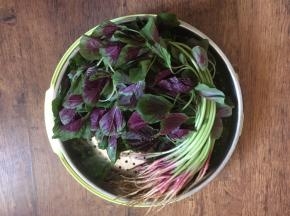 苋菜用清水泡10分钟，然后清洗干净，沥干水分。 清洗叶子时动作要轻，叶子很薄，容易破损。