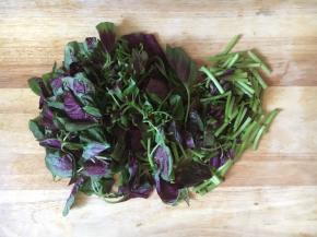 将苋菜切成寸段。