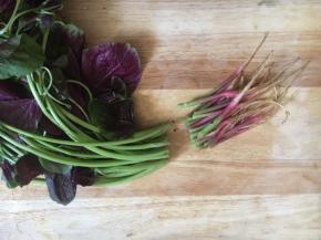 切去老梗不要了。