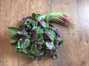 主要食材苋菜。