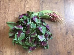 主要食材苋菜。