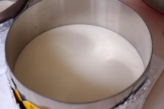 将原色慕斯液倒入模具中