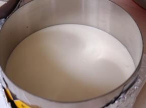 将原色慕斯液倒入模具中