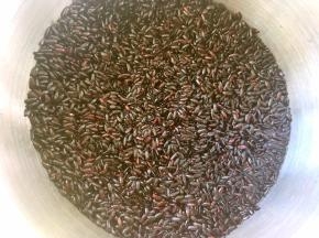 紫米泡一夜之后加入适量的水，煮成紫米饭