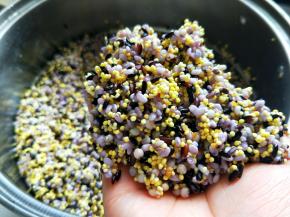 泡好的杂粮，我大概泡了5小时左右。