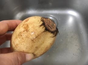 特别是藕节的周围要清洗干净。