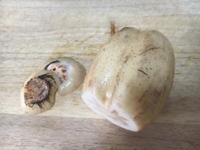 将藕节切下去，不要了。 实际藕节是有药用价值的，可是作为食用，口感不太好吃。