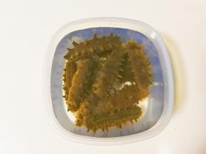 倒出来清洗干净放入自来水泡发24小时