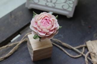 来一张照片吧！美美哒！