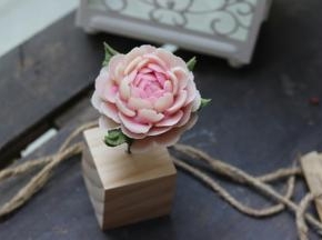 来一张照片吧！美美哒！