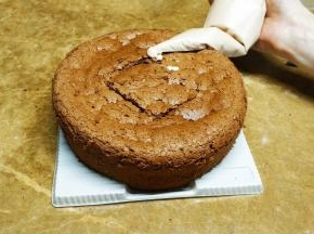 再盖上另一片蛋糕片