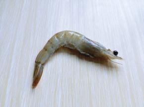 首先将白虾处理一下，去虾线，将虾的爪子用食品简单剪掉。（剪不剪也可以根据个人喜欢）