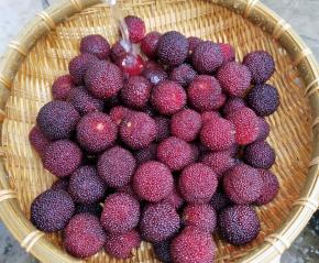 然后用流水把它冲洗干净。再沥干水分