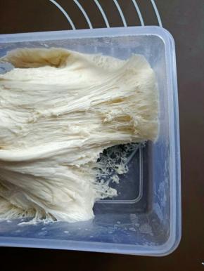 发酵好的中种组织，呈蜂窝状