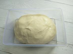 整理一下面团。放入发酵盒醒发，盖上保鲜膜，在温度28-30度情况下醒发，半小时左右