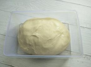 整理一下面团。放入发酵盒醒发，盖上保鲜膜，在温度28-30度情况下醒发，半小时左右