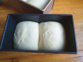 发到吐司盒7分满，取出来，180度预热烤箱