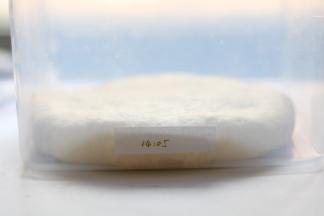 打至光滑的面团后，放入发酵盒中做好位置和时间标识，室温发酵约1小时，放入冰箱内低温发酵。