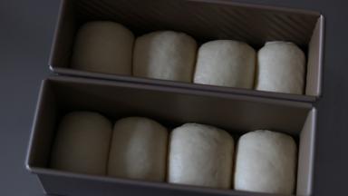 将面团排入发酵盒中，收口位置朝同一方向排列