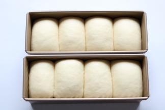 发酵箱设定26℃ 湿度70% 发酵至8分满