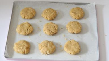 将圆球压品呈直径约5cm左右的圆饼状