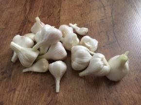 将蒜头清洗干净。