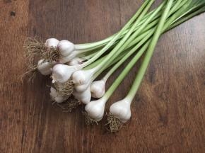 将泥土磕掉，撕去表面的皮。