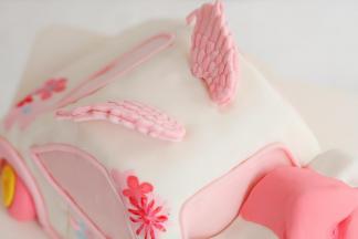 用画笔手绘好车身的花朵图案，车顶做对小翅膀