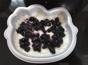 当洒到模具一半的地方铺上一层蓝莓果酱。