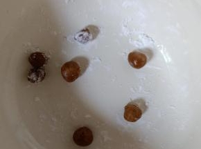 揉成圆形，在木薯淀粉中滚一圈。