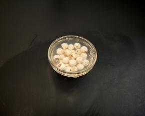 莲子提前浸泡两小时