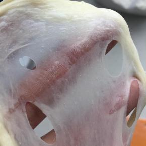 将静置后的面团揉出筋后分次加入细砂糖，全部揉匀，细砂糖化开吃进面团后，揉至六七分筋后加入软化好的黄油，揉至扩散阶段