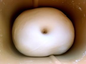 发酵好的面团，手指沾干粉按下去有个圆圆的洞，轻微回弹即可